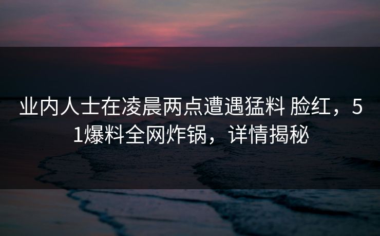 业内人士在凌晨两点遭遇猛料 脸红,51爆料全网炸锅,详情揭秘 业内人士在凌晨两点遭遇猛料 脸红,51爆料全网炸锅,详情揭秘