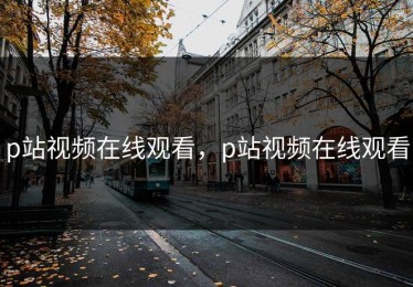 p站视频在线观看，p站视频在线观看