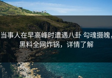 当事人在早高峰时遭遇八卦 勾魂摄魄，黑料全网炸锅，详情了解