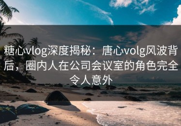 糖心vlog深度揭秘：唐心volg风波背后，圈内人在公司会议室的角色完全令人意外