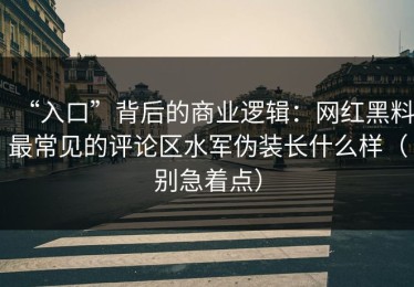 “入口”背后的商业逻辑：网红黑料最常见的评论区水军伪装长什么样（别急着点）