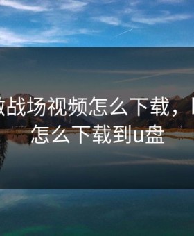 B站刺激战场视频怎么下载，b战视频怎么下载到u盘