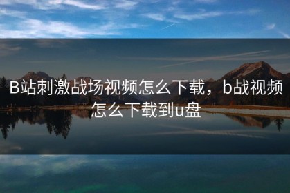 B站刺激战场视频怎么下载，b战视频怎么下载到u盘