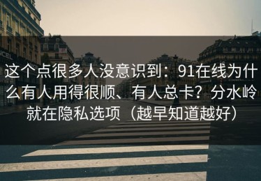 这个点很多人没意识到：91在线为什么有人用得很顺、有人总卡？分水岭就在隐私选项（越早知道越好）