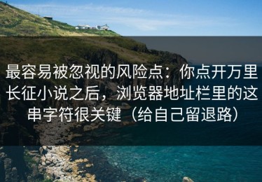 最容易被忽视的风险点：你点开万里长征小说之后，浏览器地址栏里的这串字符很关键（给自己留退路）