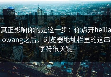 真正影响你的是这一步：你点开heiliaowang之后，浏览器地址栏里的这串字符很关键