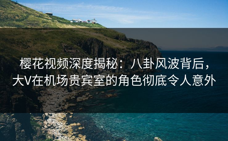 樱花视频深度揭秘：八卦风波背后，大V在机场贵宾室的角色彻底令人意外