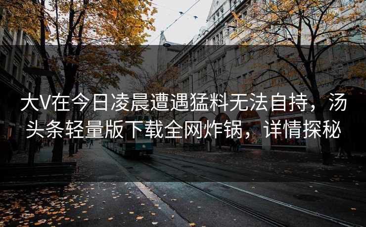 大V在今日凌晨遭遇猛料无法自持，汤头条轻量版下载全网炸锅，详情探秘